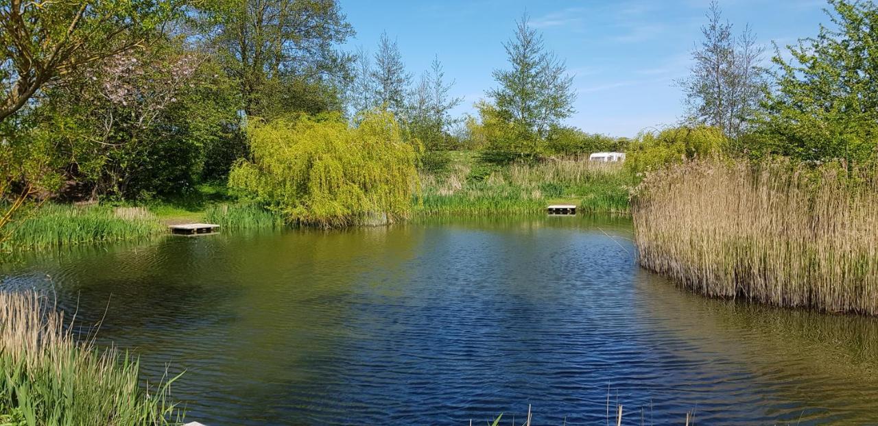 鸽子小屋住宿加早餐旅馆 North Somercotes 外观 照片